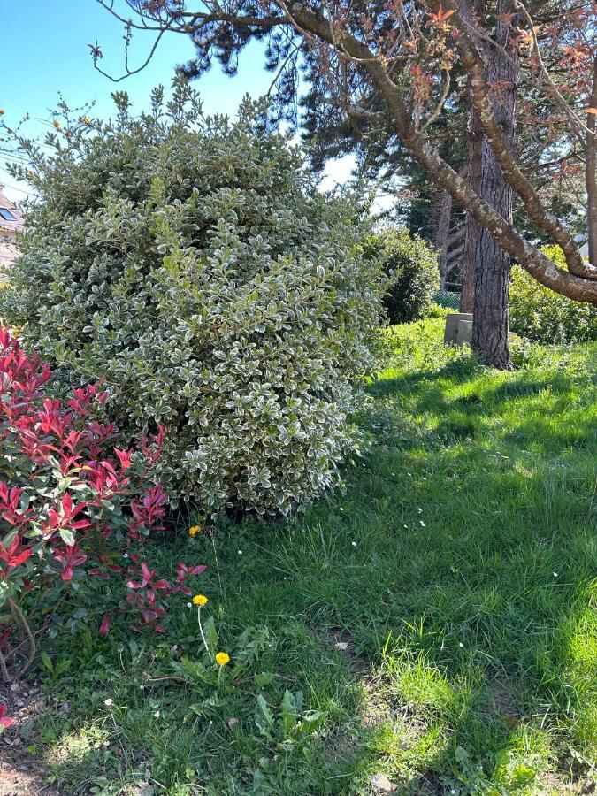 Arc En Ciel Du Mont Bed & Breakfast Pontorson Luaran gambar